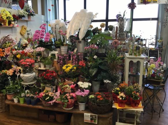 宮崎県延岡市の花屋 フラワーショップまつだにフラワーギフトはお任せください 当店は 安心と信頼の花キューピット加盟店です 花キューピットタウン