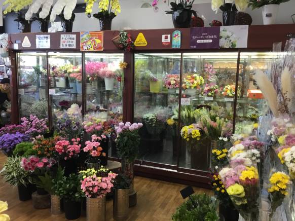 宮崎県延岡市の花屋 フラワーショップまつだにフラワーギフトはお任せください 当店は 安心と信頼の花キューピット加盟店です 花キューピットタウン